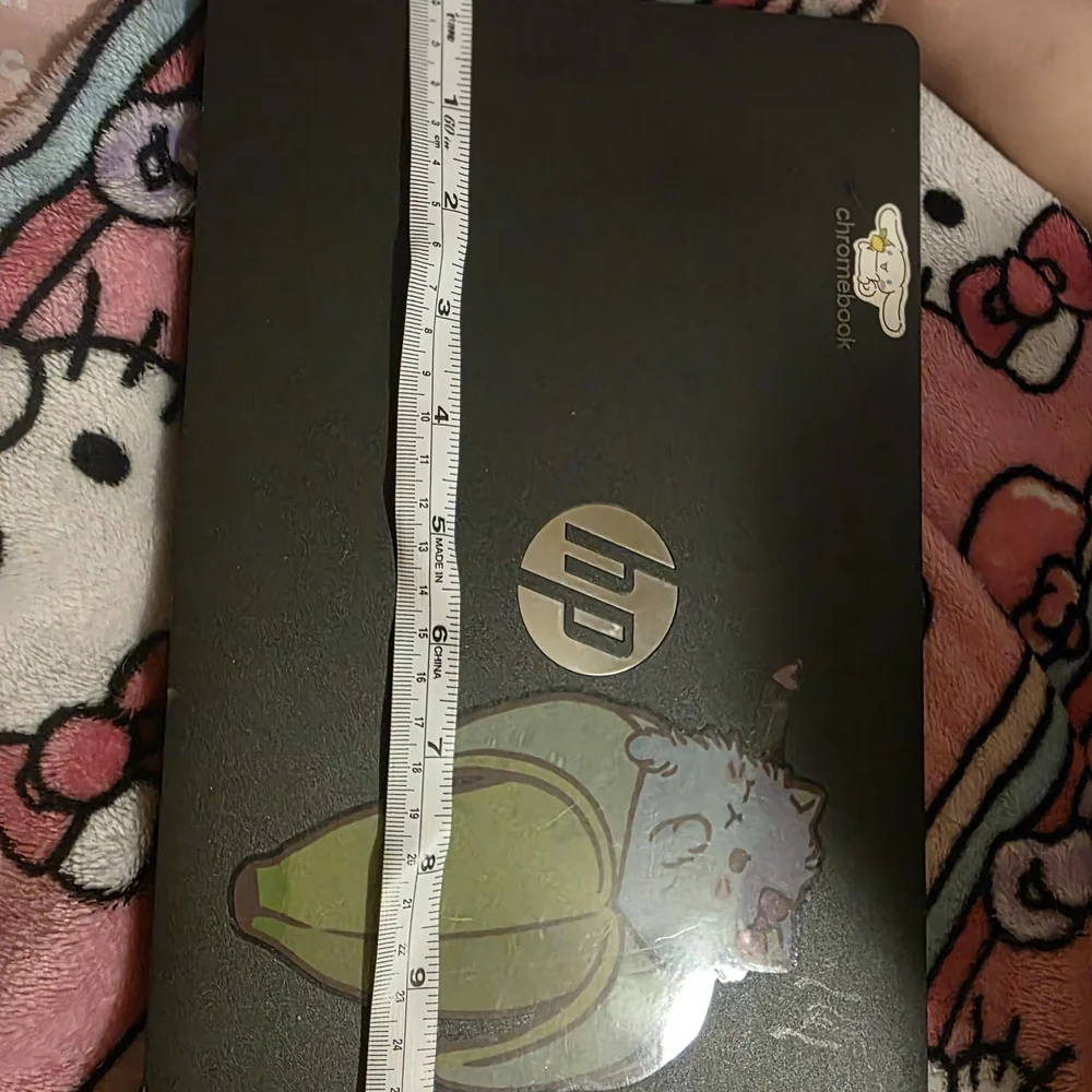 HP Chromebook with Cat and Avocado Sticker